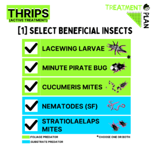 Treatment Plans – Dmv Beneficials